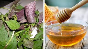 Trị nám bằng mặt nạ tía tô, chanh tươi và mật ong