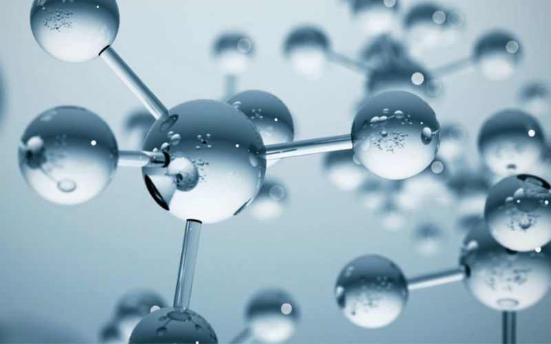 Collagen thủy phân có những loại nào?