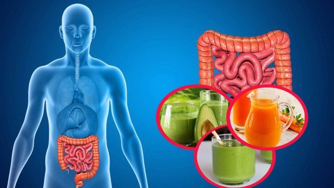 Hệ tiêu hóa của cơ thể phân giải thức ăn qua các cơ quan để hấp thụ chất dinh dưỡng vào máu